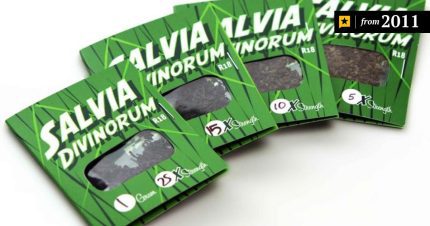 Salvia Divinorum For Sale