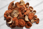 Psilocybin (Magic Mushrooms) for educational studies in the UK