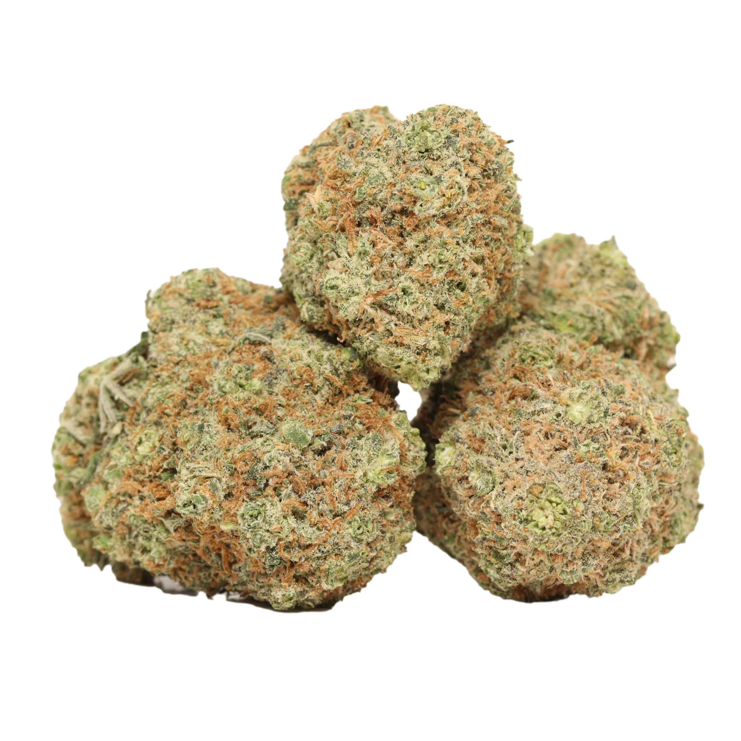 Animal-cookies-strain.jpg